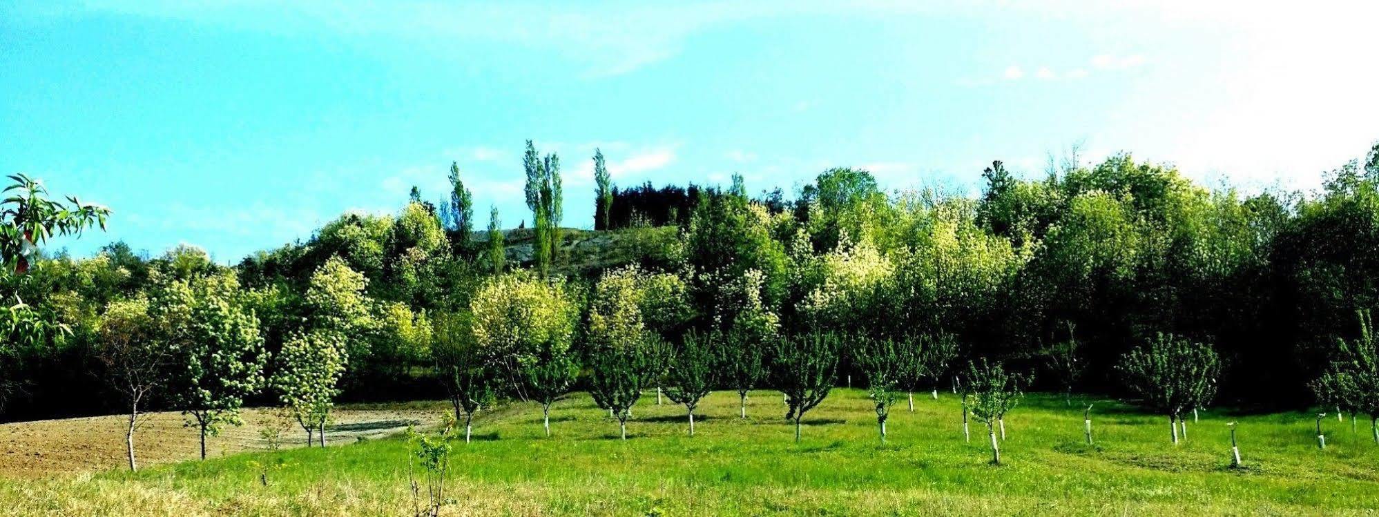 Tenuta Valdorso - Agri Resort Montechiaro D'acqui Exterior photo